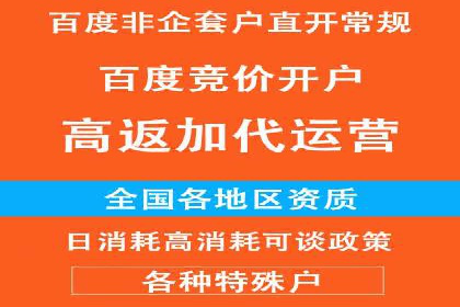 SEM托管服务，成功案例深度分析
